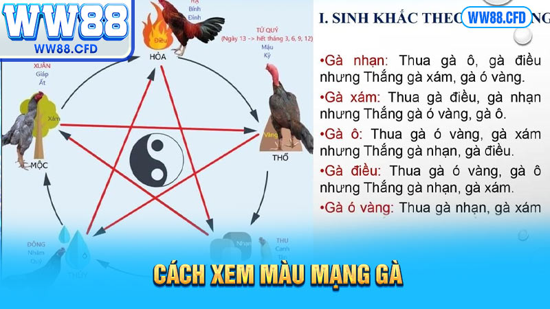 Cách xem màu mạng gà