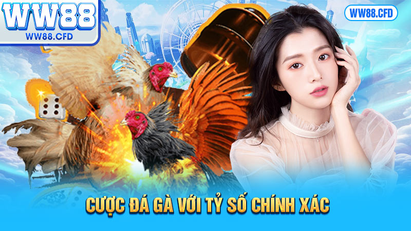 Cược đá gà với tỷ số chính xác