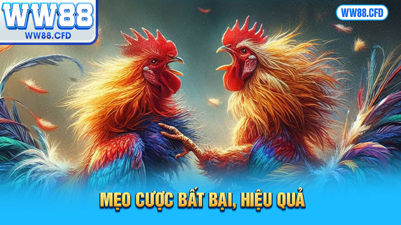 Mẹo cược bất bại, hiệu quả