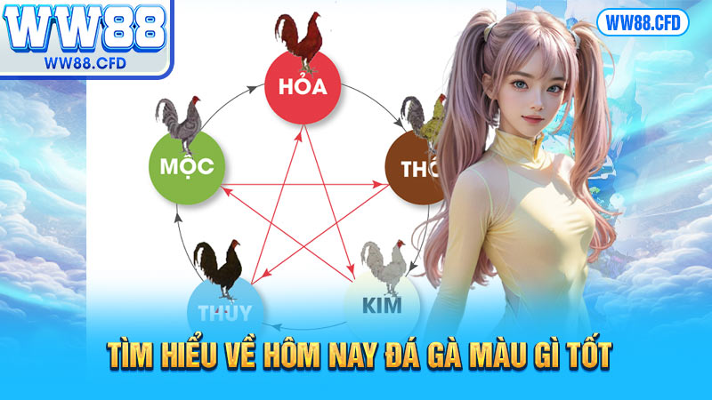 Tìm hiểu về hôm nay đá gà màu gì tốt